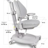 Комплект Evo-кids Evo-40 парта и кресло ErgoKids Y-404 Комплект Evo-кids Evo-40 парта и кресло ErgoKids Y-404