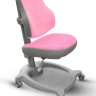 Комплект Evo-кids Evo-40 парта и кресло ErgoKids Y-402 Комплект Evo-кids Evo-40 парта и кресло ErgoKids Y-402