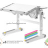 Дитячій стіл парта трансформер Mealux Ergowood M Multicolor