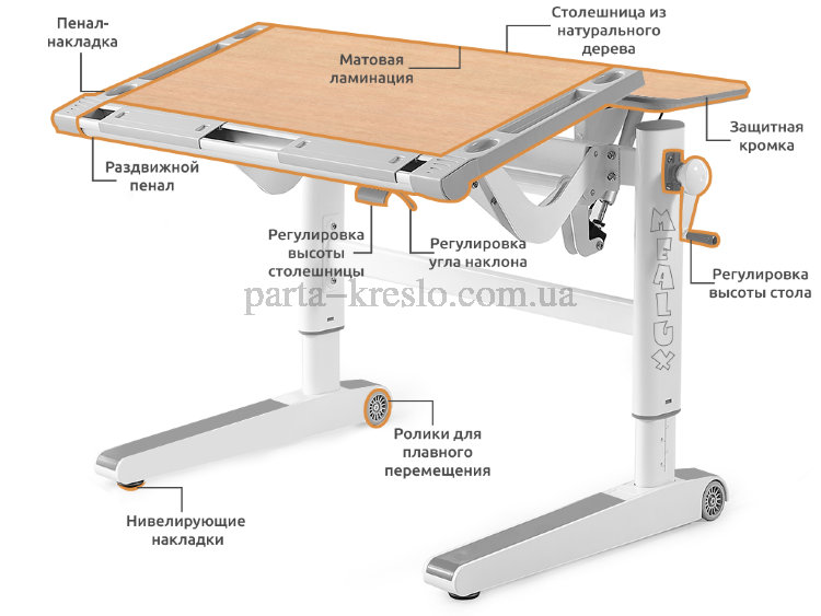 Дитячій стіл парта трансформер Mealux Ergowood M Multicolor