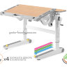 Дитячій стіл парта трансформер Mealux Ergowood M Multicolor
