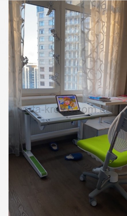 Дитячій стіл парта трансформер Mealux Ergowood M Multicolor