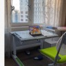 Дитячій стіл парта трансформер Mealux Ergowood M Multicolor