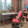Дитячій стіл парта трансформер Mealux Ergowood M Multicolor