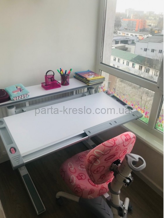 Дитячій стіл парта трансформер Mealux Ergowood M Multicolor