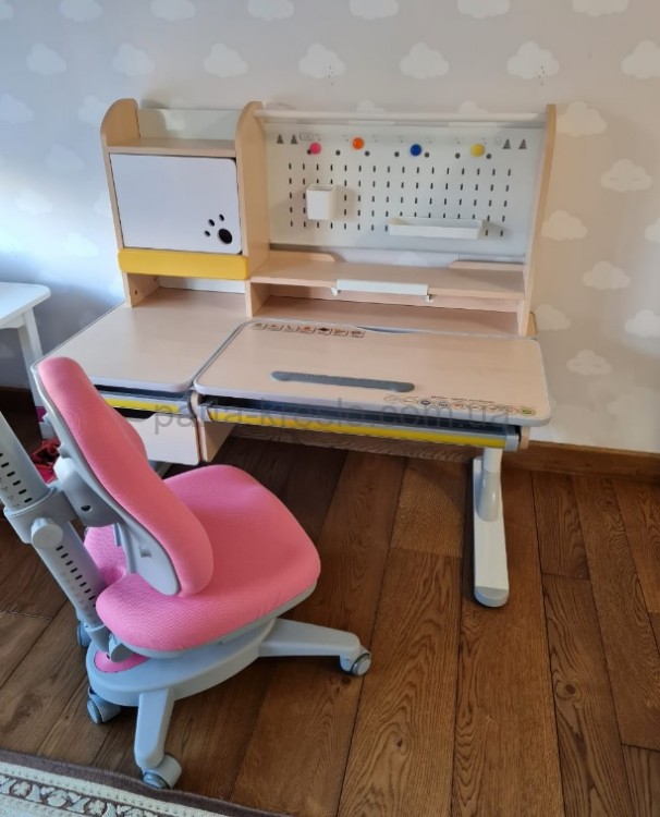 Детский стол парта Mealux Toronto Multicolor BD-650 MC с полкой