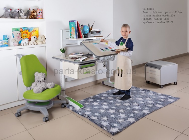 Детский стол трансформер Mealux Woodville Multicolor
