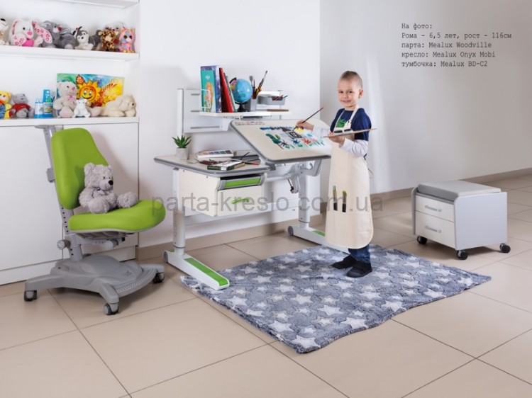 Детский стол трансформер Mealux Woodville Multicolor