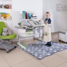 Детский стол трансформер Mealux Woodville Multicolor