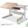 Школьная парта Mealux RichWood Multicolor и кресло Cambridge Y-410