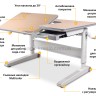 Школьная парта Mealux RichWood Multicolor и кресло Cambridge Y-410
