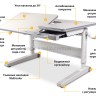 Школьная парта Mealux RichWood Multicolor и кресло Cambridge Y-410