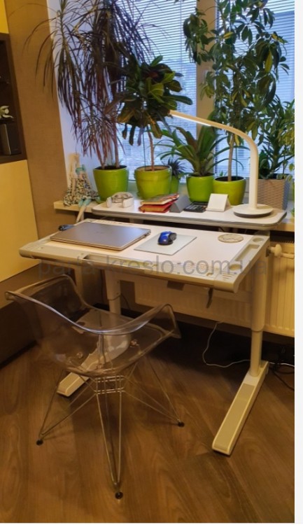 Стол для работы и учебы стоя Mealux Ergowood M Multicolor BD-800 Energy  и кресло Onyx 