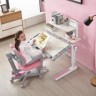 Стол для работы и учебы стоя Mealux Ergowood M Multicolor BD-800 Energy  и кресло Onyx 