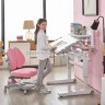 Стол для работы и учебы стоя Mealux Ergowood M Multicolor BD-800 Energy  и кресло Onyx 