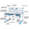 Детский стол парта Mealux Sherwood Energy Plus BD-830